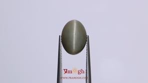 Catseye - 5.55 Carat