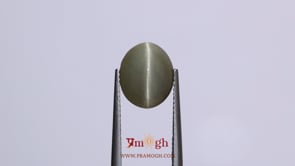 Catseye - 4.5 Carat
