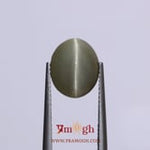 Catseye - 4.5 Carat