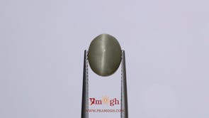 Catseye - 4.03 Carat