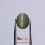 Catseye - 4.03 Carat