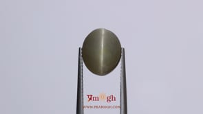 Catseye - 6.65 Carat
