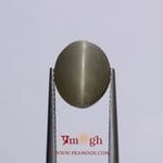 Catseye - 6.65 Carat