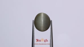 Catseye - 6.3 Carat