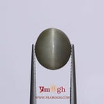 Catseye - 6.3 Carat