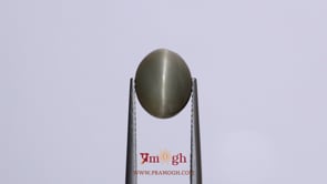 Catseye - 4.85 Carat