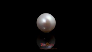 Pearl - 5.75 Carat
