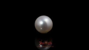 Pearl - 5.3 Carat
