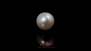 Pearl - 5.25 Carat