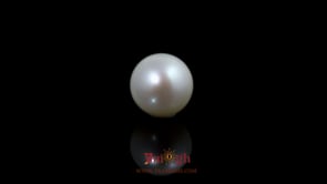 Pearl - 5.15 Carat