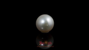 Pearl - 5.85 Carat