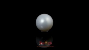 Pearl - 5.5 Carat