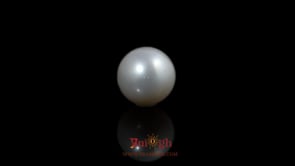 Pearl - 6.15 Carat