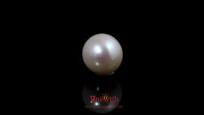 Pearl - 5.75 Carat