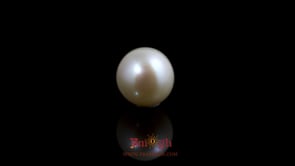 Pearl - 5.55 Carat