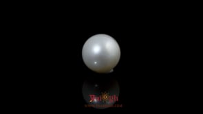 Pearl - 5.2 Carat