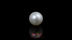 Pearl - 5.3 Carat