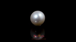Pearl - 5.5 Carat