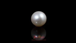 Pearl - 5.53 Carat