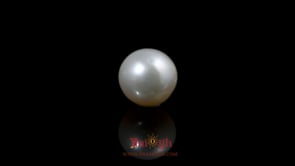 Pearl - 5.2 Carat