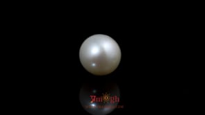 Pearl - 5.25 Carat