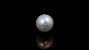 Pearl - 5.5 Carat