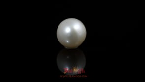 Pearl - 5.7 Carat