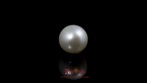 Pearl - 5.3 Carat