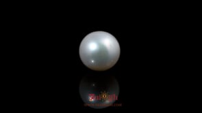 Pearl - 5.8 Carat