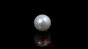 Pearl - 5.85 Carat