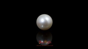 Pearl - 5.3 Carat