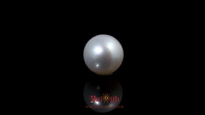 Pearl - 5.2 Carat