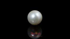 Pearl - 9.3 Carat
