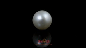 Pearl - 9.8 Carat