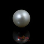Pearl - 9.8 Carat