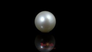 Pearl - 9.75 Carat