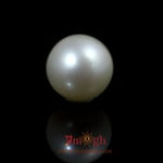 Pearl - 9.75 Carat
