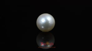 Pearl - 9.05 Carat