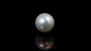 Pearl - 9.6 Carat