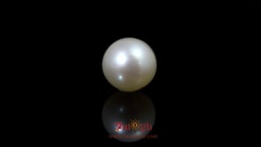 Pearl - 9.75 Carat