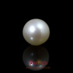Pearl - 9.75 Carat