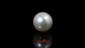 Pearl - 9.9 Carat
