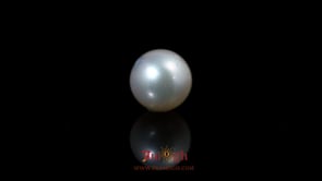 Pearl - 8.2 Carat