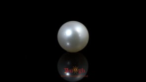 Pearl - 9.1 Carat