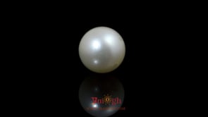 Pearl - 9.9 Carat