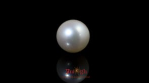 Pearl - 9.75 Carat