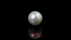 Pearl - 9.75 Carat