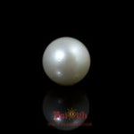 Pearl - 9.75 Carat
