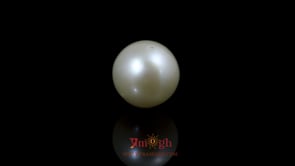 Pearl - 9.3 Carat