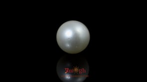 Pearl - 9.15 Carat